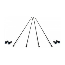 Campagnolo Bora One 50 Disco - Juego de 4 Radios Delantero Izquierdo y Trasero Derecho, Recto Plano