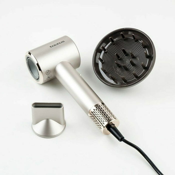 Secador de Pelo Taurus 900119000 Gris 1600 W