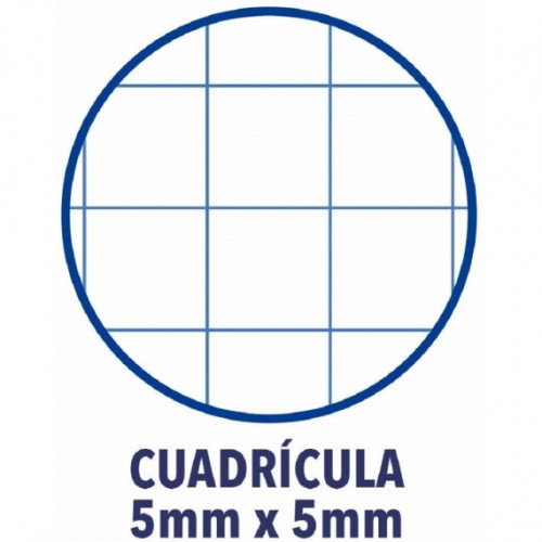 Oxford Recambio de Cuaderno Tapa Blanda Rosa Chicle A4+ 80 Hojas