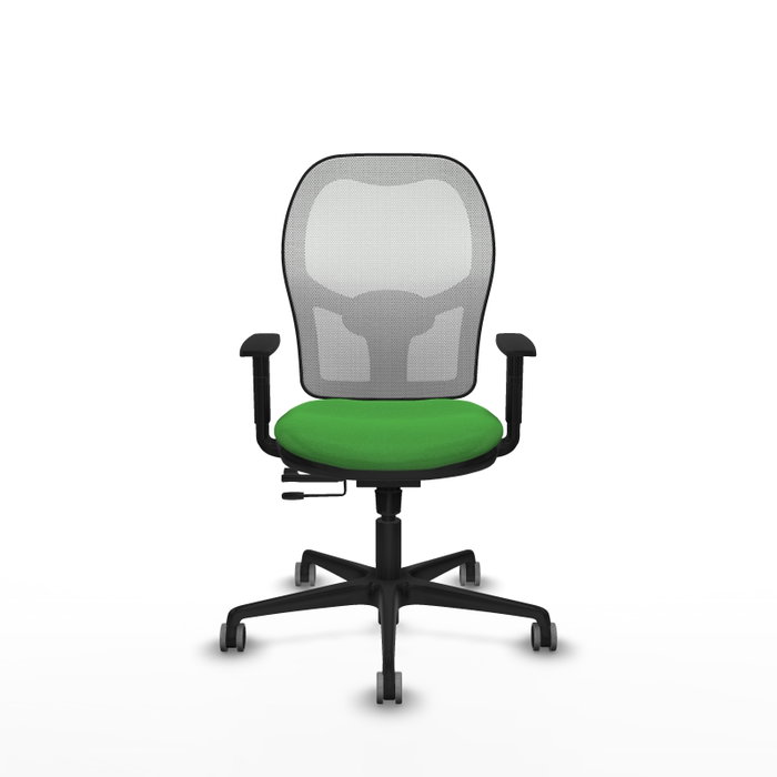 PIQUERAS Y CRESPO Silla de oficina Jorquera con mecanismo Sincro/Traslack, Verde y Blanco PIQUERAS Y CRESPO Silla de oficina Jorquera con mecanismo Sincro/Traslack, Verde y Blanco