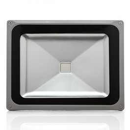 Brico Proyector LED 50W Verde 4.250Lm IP65