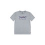 Camiseta de Manga Corta Infantil Levi's Lvb On The Road Batwing Gris claro XL