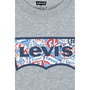 Camiseta de Manga Corta Infantil Levi's Lvb On The Road Batwing Gris claro XL