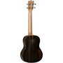 Ukelele Tenor Tanglewood Twt19