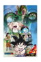 Sd toys Póster 3D Shenron and Heroes Dragon Ball Super 38x58 cm