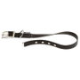 Ferplast Collar Perro Evolution CF25 45 Negro