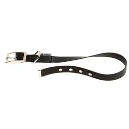Ferplast Collar Perro Evolution CF25/45 Negro A: 37-45 cm B: 25 mm