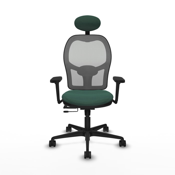 PIQUERAS Y CRESPO Silla de oficina Jorquera con mecanismo Sincro/Traslack, Verde botella y Gris PIQUERAS Y CRESPO Silla de oficina Jorquera con mecanismo Sincro/Traslack, Verde botella y Gris