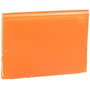 Carchivo Clasificador de Acordeón Folio Naranja con 13 Departamentos