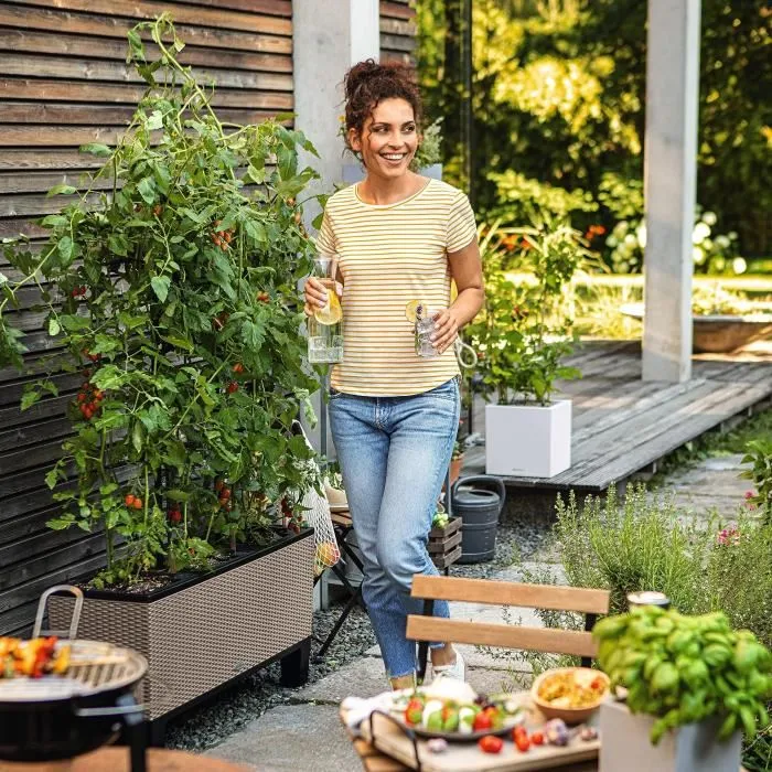 Maceta LECHUZA Trio Cottage 30 - kit completo marrón arena