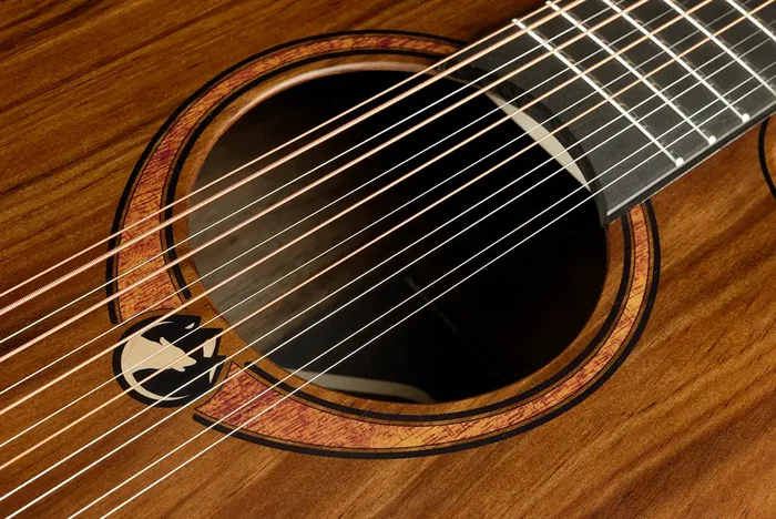 LAG Guitarra Acústica Jumbo Electroacústica 12 Cuerdas Sauvage Lag Satinado Natural
