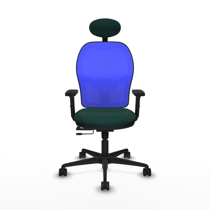 PIQUERAS Y CRESPO Silla de oficina Jorquera con mecanismo Sincro/Traslack, Verde botella y Azul PIQUERAS Y CRESPO Silla de oficina Jorquera con mecanismo Sincro/Traslack, Verde botella y Azul