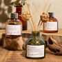 Home Deco Factory Difusor Aromático Cocooning 100 ml con Varillas - Aromas Ámbar, Sándalo o Algodón