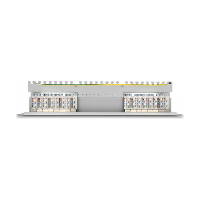 DeLOCK Panel de conexiones Patch Panel 19 pulgadas, 16 puertos Cat.6A, 1U, color gris, 482.6 x 44.5 x 100 mm DeLOCK Panel de conexiones Patch Panel 19 pulgadas, 16 puertos Cat.6A, 1U, color gris, 482.6 x 44.5 x 100 mm