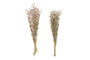 DKD Home Decor Ramo de Flores Secas Surtido de 2 Colores Blanco y Rosa