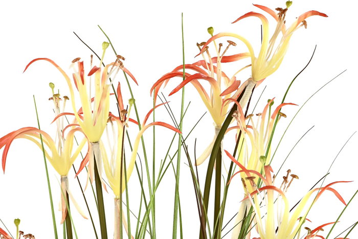 DKD Home Decor Lirio Araña Pack de 2 Plantas en PVC y Metal 45x45x140 cm