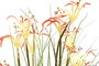 DKD Home Decor Lirio Araña Pack de 2 Plantas en PVC y Metal 45x45x140 cm
