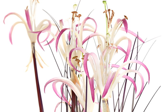 DKD Home Decor Lirio Araña Pack de 2 Plantas en PVC y Metal 45x45x140 cm