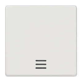 Siemens 5TG6200 DELTA i-system Wippe m.Fenster 55x55mm titanio