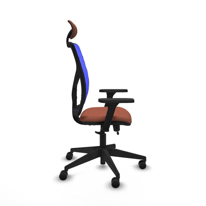 PIQUERAS Y CRESPO Silla de oficina Motilla con mecanismo Sincro/Traslack, Azul y Marrón PIQUERAS Y CRESPO Silla de oficina Motilla con mecanismo Sincro/Traslack, Azul y Marrón