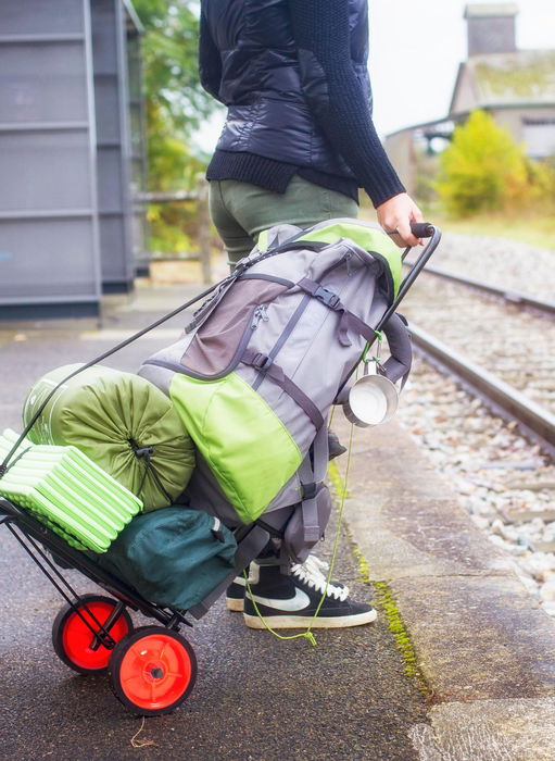 Bricotech Carro Multiuso 40 Kgs con Dimensiones 35 cm (ancho) x 13.9 cm (alto) x 58 cm (largo) y 9.36 Kg (4 Unidades)