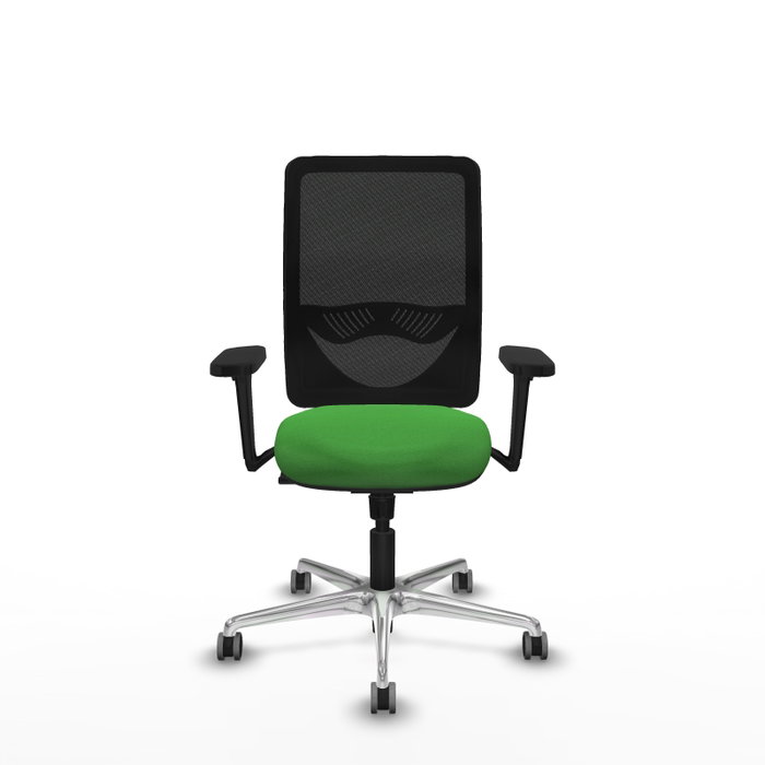 PIQUERAS Y CRESPO Silla de oficina Zulema con Mecanismo Sincro Verde y Negro PIQUERAS Y CRESPO Silla de oficina Zulema con Mecanismo Sincro Verde y Negro