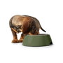 Comedero para Perro Hunter Verde 160 ml