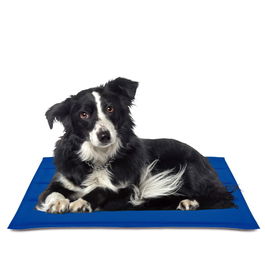 Nayeco Alfombrilla Refrescante Cool Mat Gel Azul 50 x 90 cm para Mascotas, Regula Temperatura Corporal, Sin Refrigeración Previa