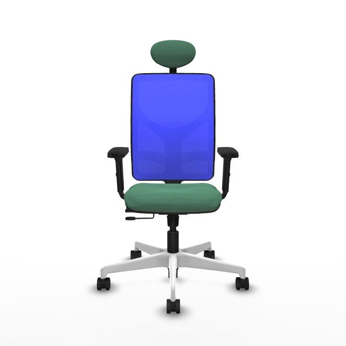 PIQUERAS Y CRESPO Silla de oficina Motilla con mecanismo Sincro/Traslack Verde esmeralda y Azul PIQUERAS Y CRESPO Silla de oficina Motilla con mecanismo Sincro/Traslack Verde esmeralda y Azul