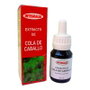 INTEGRALIA Cola de Caballo Extracto 50ml