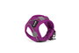 Arnés para Perro Gloria Trek Star 27-28 cm 31-34,6 cm Morado XS