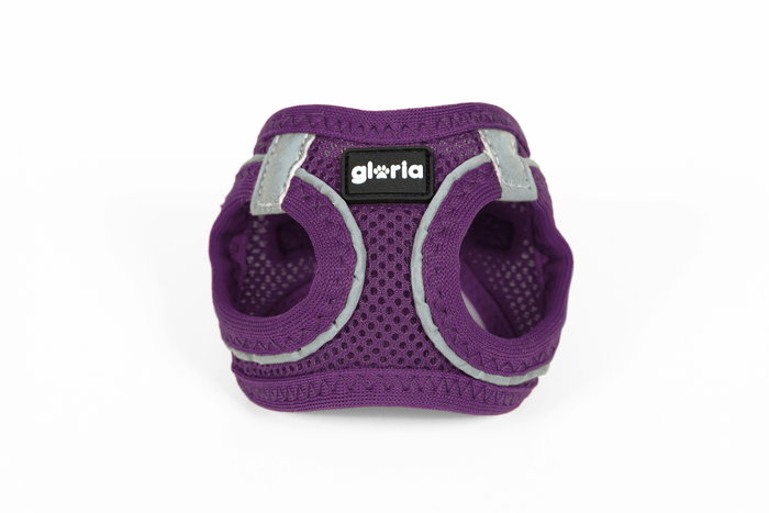 Arnés para Perro Gloria Trek Star 27-28 cm 31-34,6 cm Morado XS