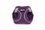 Arnés para Perro Gloria Trek Star 27-28 cm 31-34,6 cm Morado XS