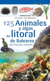 125 Animales y algas del litoral de Baleares que hay que conocer, Enric Ballesteros Sagarra - COSSETANIA EDICIONS