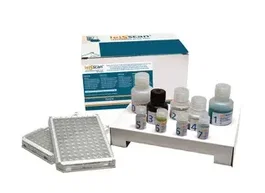 Ecuphar LEISCAN 96X2 TEST (NDR)