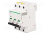 Schneider Electric Interruptor magnetotérmico iC60N 6A 3 polos