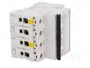 SCHNEIDER ELECTRIC iC60N ACTI9 Interruptor magnetotérmico 63A 4 polos Caract D