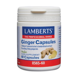 Lamberts Ginger Jengibre 120mg 60 cápsulas