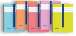 Eriggan Pack de 10 cuadernos espiral cuarto 40h 70g cuadrovía 4mm