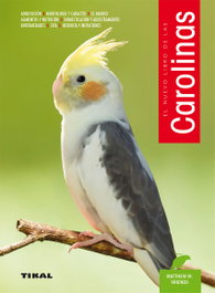 TIKAL EDICIONES, Carolinas - GRAN LIBRO DE LAS CAROLINAS