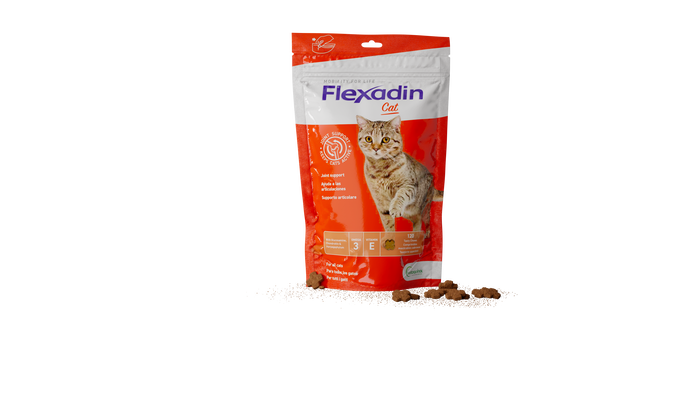 Vetoquinol Flexadin Gato 60 Comprimidos Vetoquinol Flexadin Gato 60 Comprimidos