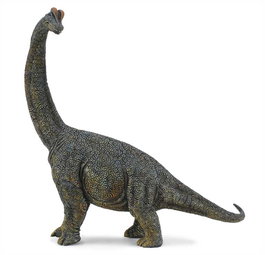 Collecta Brachiosaurus 88405 Réplica a Escala 1:40 Juguete Educativo Animal Prehistórico +3 Años