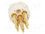 HARTING Conector M23 Macho de 6 Pines para Uso Industrial