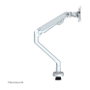 Newstar Neomounts FPMA-D750SILVER2 Brazo de monitor plata