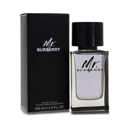 Burberry Mr. Burberry Eau de Toilette 100 ml