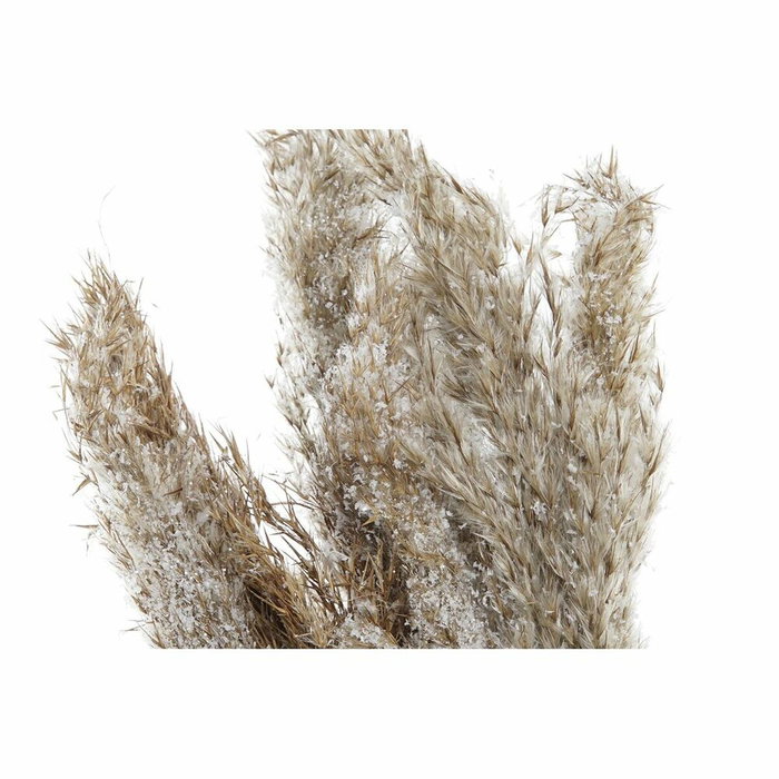DKD Home Decor Planta Decorativa de Fibra y PVC con Plumas Naturales, Pack de 2 DKD Home Decor Planta Decorativa de Fibra y PVC con Plumas Naturales, Pack de 2