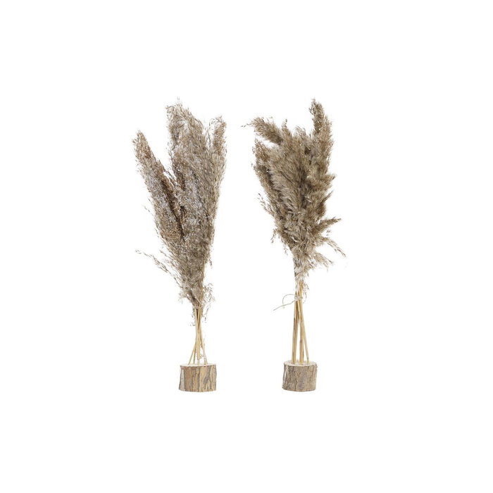 DKD Home Decor Planta Decorativa de Fibra y PVC con Plumas Naturales, Pack de 2 DKD Home Decor Planta Decorativa de Fibra y PVC con Plumas Naturales, Pack de 2