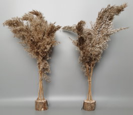 DKD Home Decor Planta Decorativa de Fibra y PVC con Plumas Naturales, Pack de 2