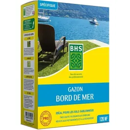 BHS Césped Seaside 3kg BHS1689087765041 | Césped de Verano Resistente al Viento, Sequía y Sal para un Acabado Hermoso y Robusto
