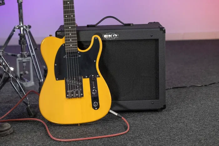 Eko G-BS35 Amplificador Combo para Guitarra Eléctrica, 35W, Altavoz 12", 2 Canales (Clean/Drive), Reverb, Negro